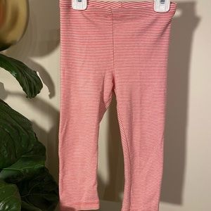 Tea collection crop legging